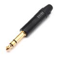  Audiocore AC136GB Jack Connector