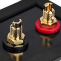  Audiocore Audiomania KIT PR500GF Binding Post