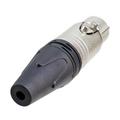  Audiocore N7XFN XLR Connector